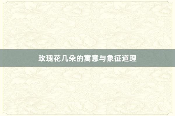 玫瑰花几朵的寓意与象征道理